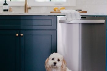 full_traditional_kitchen_remodel_beverly_hills