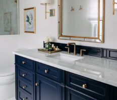Transitional Bathroom Remodel