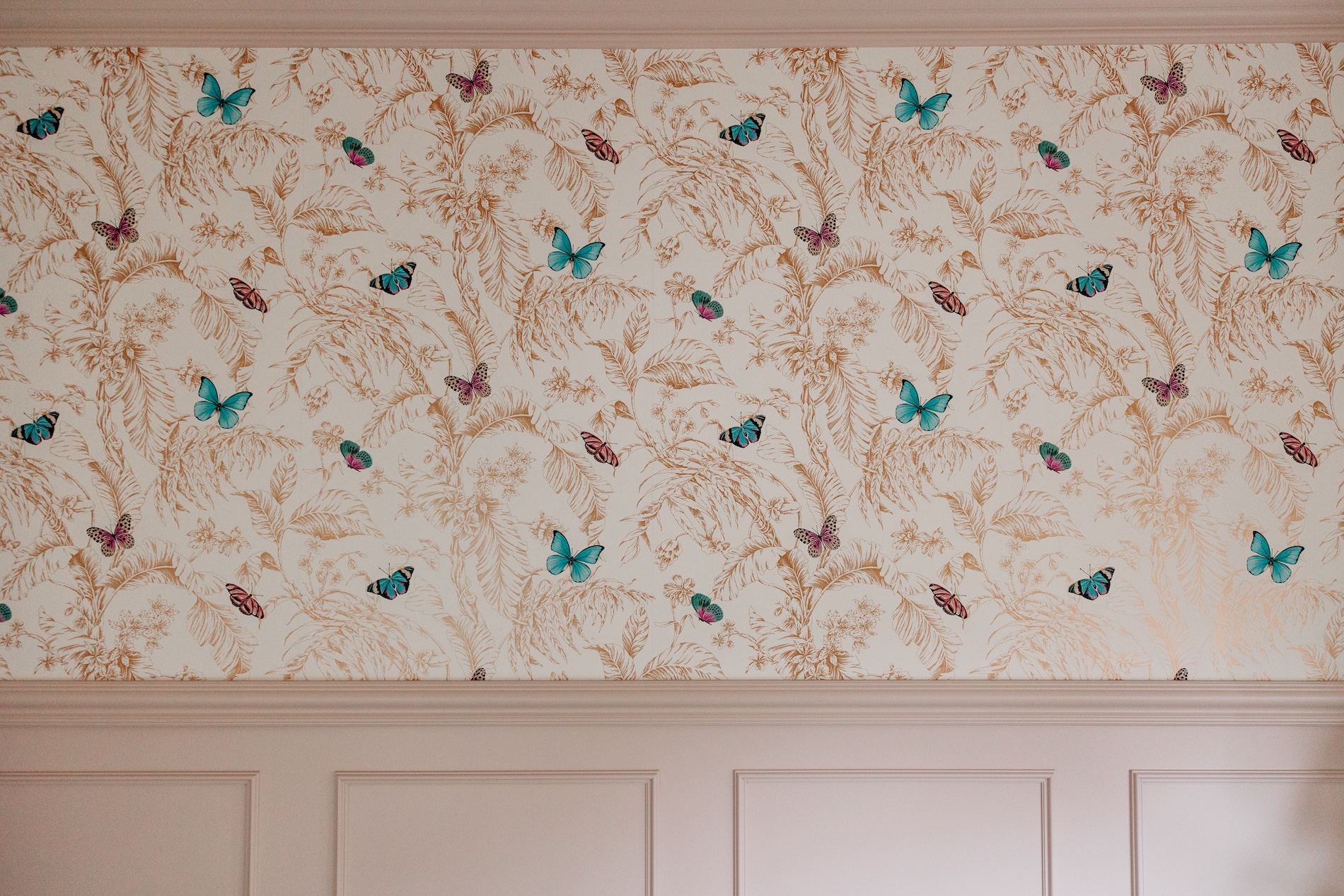 butterfly wallpaper pink wainscoting birmingham mi